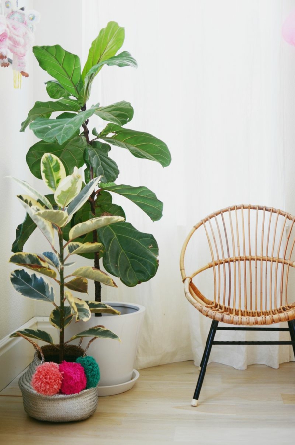 kambariniai augalai kėdės poilsio kampelis gražus gyvenimo idėjas