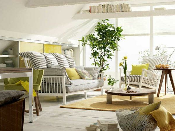kambariniai augalai gyvenamasis kambarys papuošti šviesiai geltonu kilimu