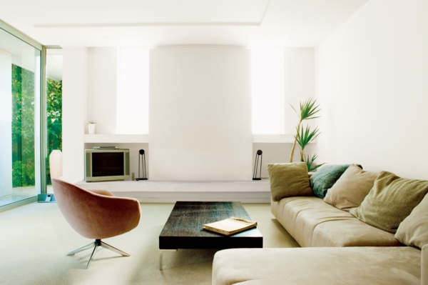 kambariniai augalai svetainė elegantiška mesti pagalvės kėdė