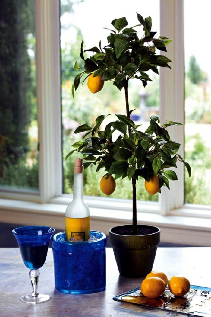 Citron Tree Care Deco planter